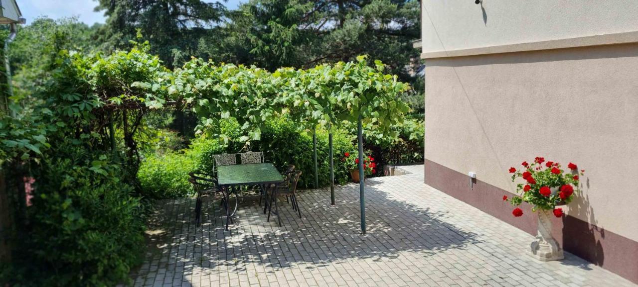 Lugas Apartman Miskolctapolca 2 Haloszoba Dezsa Es Jakuzzi Koezel A Barlangfuerdohoez Dış mekan fotoğraf