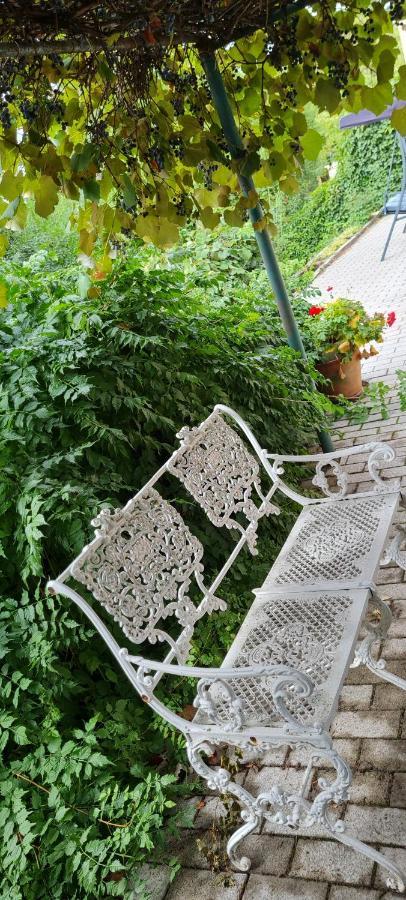Lugas Apartman Miskolctapolca 2 Haloszoba Dezsa Es Jakuzzi Koezel A Barlangfuerdohoez Dış mekan fotoğraf